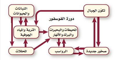 شبكة