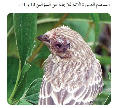 شكل