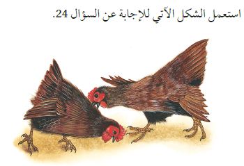 شكل