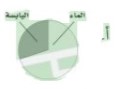 نسبة توزيع الماء و اليابسة