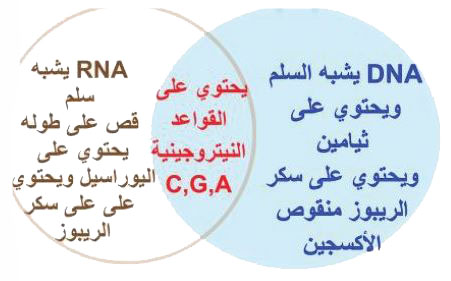 مثال