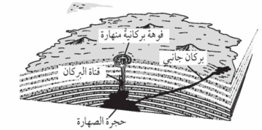 شكل