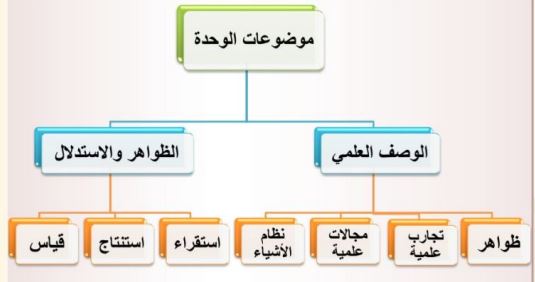 مخطط 